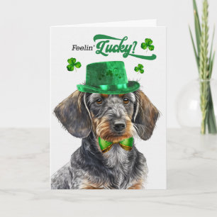 Cartes Pour Fêtes Annuelles Dachshund à poil dur Chanceux St Patrick's Day