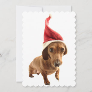 Cartes Pour Fêtes Annuelles Dachshund à Santa hat