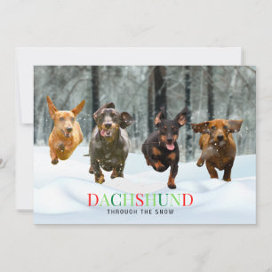 Cartes Pour Fêtes Annuelles Dachshund à travers la neige 4 chiens drôles en co