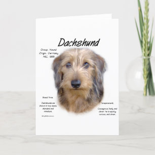 Cartes Pour Fêtes Annuelles Dachshund (cheveux filaires)