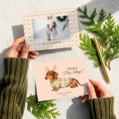 Cartes Pour Fêtes Annuelles Dachshund Chien Noël À damiers Sweat Photo