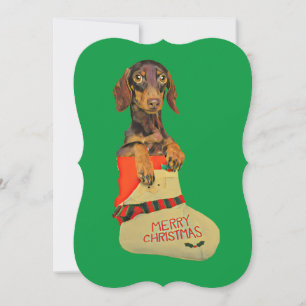 Cartes Pour Fêtes Annuelles Dachshund dans une réserve de Noël