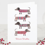 Cartes Pour Fêtes Annuelles Dachshund Dog amusant<br><div class="desc">Adorable petit Dachshund,  Wiener ou Chiens de saucisse en costume d'hiver. Changez le message d'accueil à l'avant et à l'intérieur,  ainsi que les noms à personnaliser. Art original de Nic Squirrell.</div>