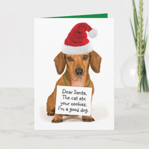 Cartes Pour Fêtes Annuelles Dachshund drôle avec signe à Père Noël Noël