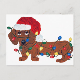 Cartes Pour Fêtes Annuelles Dachshund emmêlé dans les lumières de Noël (Rouge)