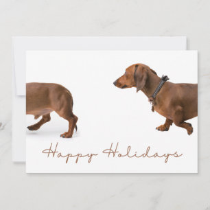 Cartes Pour Fêtes Annuelles Dachshund minimaliste Joyeux Noël