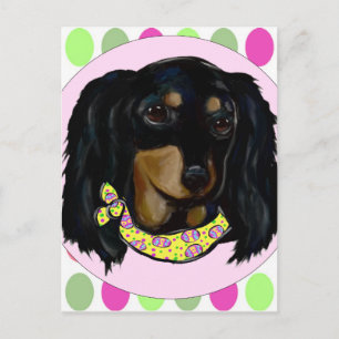 Cartes Pour Fêtes Annuelles Dachshund noir à longs poils de Pâques