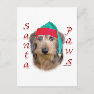Cartes Pour Fêtes Annuelles Dachshund Papa Noël