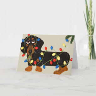 Cartes Pour Fêtes Annuelles Dachshund Tangée Dans Les Lumières De Noël Blk/Tan