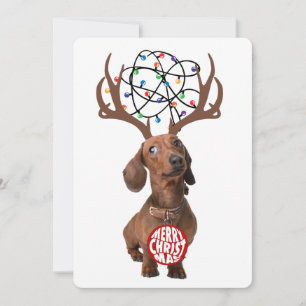 Cartes Pour Fêtes Annuelles Dachshund Wiener Dog Antlers Joyeux Noël