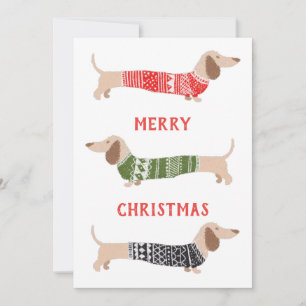 Cartes Pour Fêtes Annuelles Dachshund Wiener Dogs Chandail de Noël