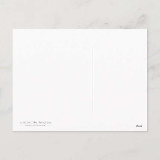 Cartes Pour Fêtes Annuelles Daffodil (Dos)