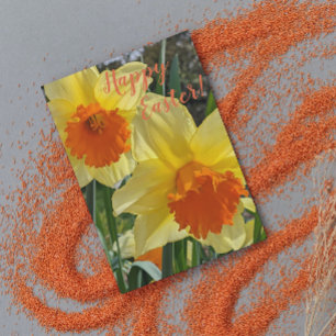 Cartes Pour Fêtes Annuelles Daffodiles orange et jaune Pâques florales