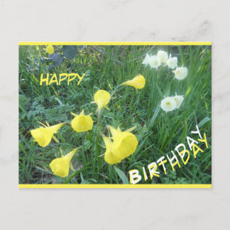 Cartes Pour Fêtes Annuelles Daffodils Arctic Bells Happy Birthday Postcard