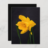 Cartes Pour Fêtes Annuelles Daffodique jaune (Devant / Derrière)