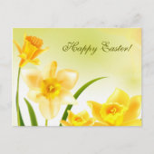 Cartes Pour Fêtes Annuelles Daffodiques du printemps Pâques (Devant)