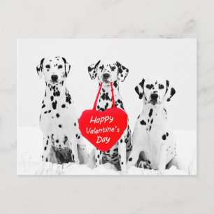 Cartes Pour Fêtes Annuelles Dalmatians Dog Heart Happy Valentine's Day