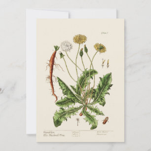 Cartes Pour Fêtes Annuelles Dandelion