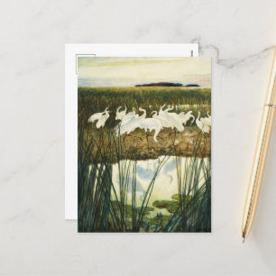 Cartes Pour Fêtes Annuelles Danse des grues blanches par N. C. Wyeth