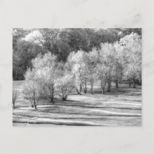 Cartes Pour Fêtes Annuelles Dartmoor Morning Frost Monochrome