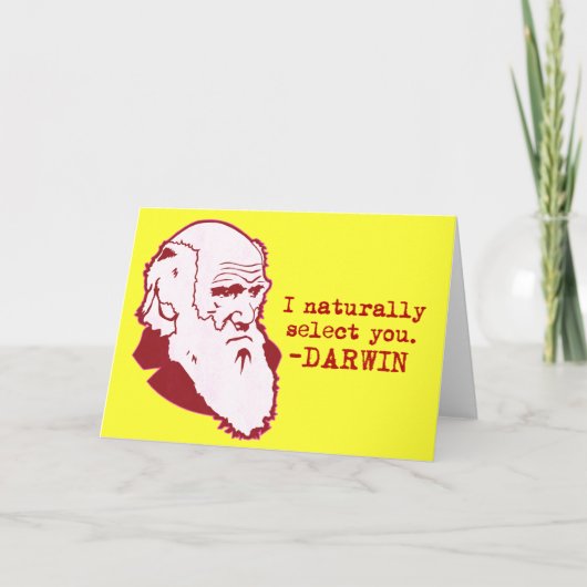 Cartes Pour Fêtes Annuelles Darwin (Devant)
