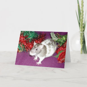 Cartes Pour Fêtes Annuelles Darwin dans la tresse