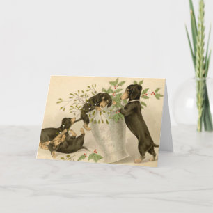Cartes Pour Fêtes Annuelles Daschunds espiègles avec la baie et le vase de