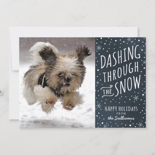 Cartes Pour Fêtes Annuelles Dashing Through the Snow Holiday Pet Card (Devant)