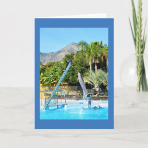 Cartes Pour Fêtes Annuelles Dauphin