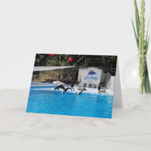Cartes Pour Fêtes Annuelles Dauphins et leurs entraîneurs en Espagne