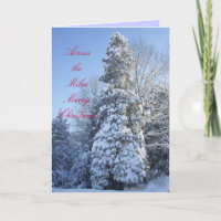 De l'autre côté des arbres couverts de neige de Mi
