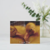 Cartes Pour Fêtes Annuelles De mignons petits canards (Debout devant)