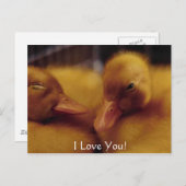 Cartes Pour Fêtes Annuelles De mignons petits canards (Devant / Derrière)