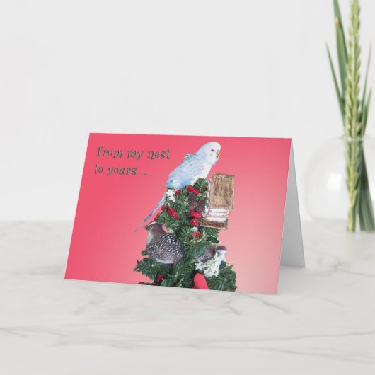 Cartes Pour Fêtes Annuelles De mon nid (Devant)