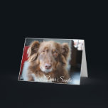 Cartes Pour Fêtes Annuelles Dear Santa, Define Naughty Funny Christmas Card<br><div class="desc">Front of card has cute naughty looking dog saying,  "Dear Santa" and the back has a picture of Santa Claus writing a nice and naughty list for dogs.</div>