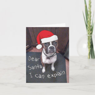 Cartes Pour Fêtes Annuelles Dear Santa I Can Explain
