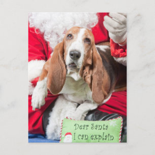 Cartes Pour Fêtes Annuelles Dear Santa I can Explain Basset Hound