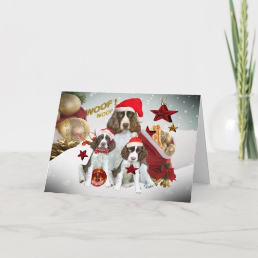 Cartes Pour Fêtes Annuelles Décorations de Christmas (Devant)
