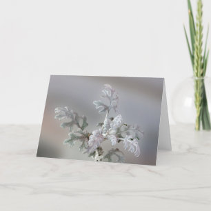 Cartes Pour Fêtes Annuelles Décorations naturelles de Noël