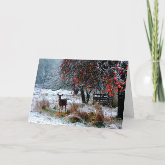 Cartes Pour Fêtes Annuelles Deer in Winter