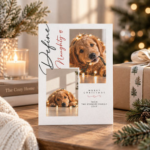 Cartes Pour Fêtes Annuelles Définir un script vilain Drôle de photo de chien