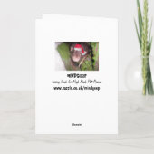 Cartes Pour Fêtes Annuelles Dépats de Noël (Dos)