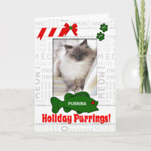 Cartes Pour Fêtes Annuelles depuis les ronronnements de vacances de chat Photo