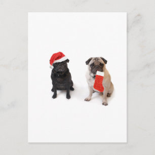 Cartes Pour Fêtes Annuelles Deux carlins de Noël