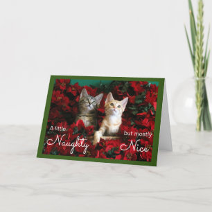 Cartes Pour Fêtes Annuelles Deux chatons coquins et Nice à Poinsettias