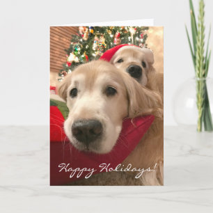 Cartes Pour Fêtes Annuelles Deux Chiens d'or de vacances Noël