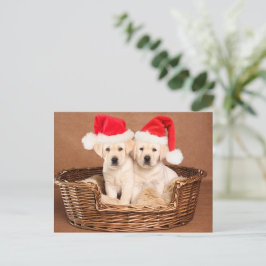 Cartes Pour Fêtes Annuelles Deux Chiots de Noël du laboratoire jaune (Debout devant)