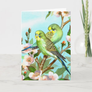 Cartes Pour Fêtes Annuelles Deux perruches