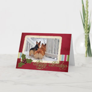 Cartes Pour Fêtes Annuelles Deux Welsh Corgis dans la neige avec un cadre de v