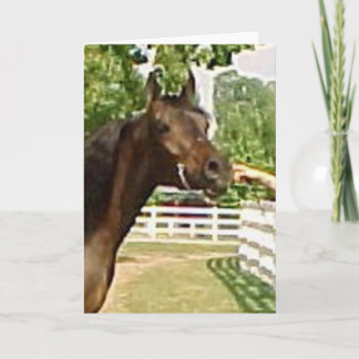 Cartes Pour Fêtes Annuelles Diadhems Aziza